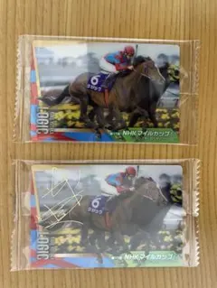 2025年最新】サラブレッドコレクション サインの人気アイテム