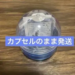 藤原丈一郎　なにわ男子のめじるしチャーム　2026 VoyAGE 1stDOME