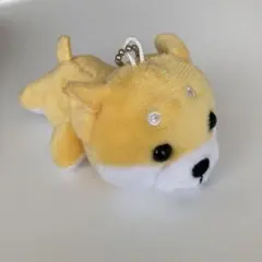⭐️お値下げ　柴犬　豆柴　キーホルダー　マスコット