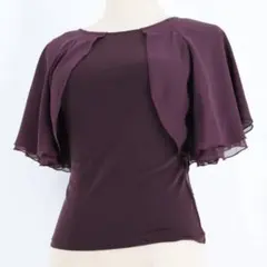 【美品 社交ダンス衣装】ブラウン Chacott ブラウス トップス カットソー