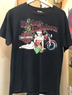 2026年最新】ハーレーダビッドソン tシャツ ピンナップガールの人気 