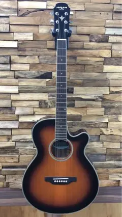 て*屋様 FET-500E エレコードアコースティックギター　ハードケース 付き て*屋様 FET-500E エレコードアコースティックギター ハード