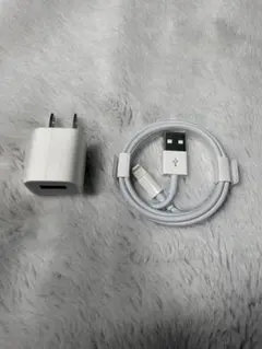 【新品・未使用】 Apple純正 Lightning ケーブル アダプタ 充電器