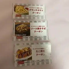 ビックエコー　フードクーポン3枚セット 2026年11月30日まで