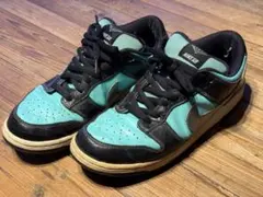 送料込 NIKE DUNK LOW PRO SB TIFFANY ティファニー