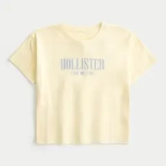 【新品】ホリスター holister イージー ロゴグラフィックTシャツのサムネイル