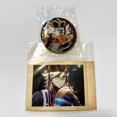 鬼滅の刃 無限城編 ぴた！でふぉめ 缶バッジ ぱしゃこれ 其ノ捌 童磨