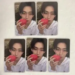 ENHYPEN ソヌ トレカ FUGITIVES ver セット