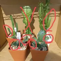 2025年最新】グランディコルニスの人気アイテム - メルカリ