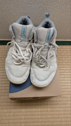 Item thumbnail for item c48ef98a-c38b-4e9f-8543-8a9fcc6fd04e