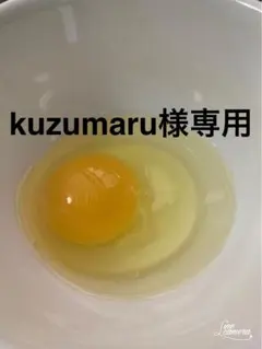 kuzumaru様専用　平飼い卵90個