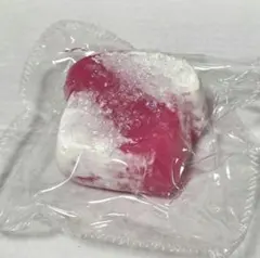 kikisquishy しゃりしゃりトースト　Lサイズ