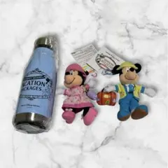 ディズニーバケーションパッケージ