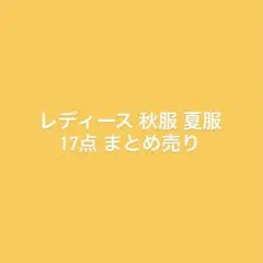 レディース トップス ボトムス 秋服 夏服 17点 まとめ売りのサムネイル