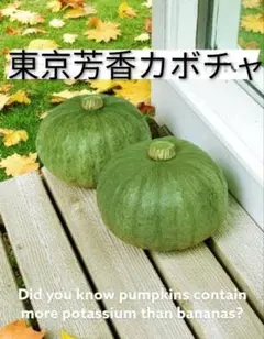 2026年最新】香合 かぼちゃの人気アイテム - メルカリ