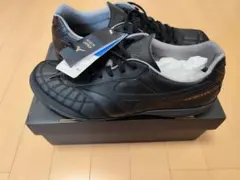 Item thumbnail for item 850a7c44-1b6c-4e51-a824-eb6011c32757