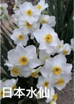 まぁーさん様 リクエスト 2点 まとめ商品