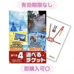 【有効期限なし】選べる4ペアチケット ディズニーディズニーシー 富士急 ナガスパのサムネイル
