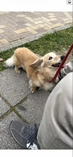 Item thumbnail for item a41b8a56-c395-4aa4-a07c-e31e919a0bb0