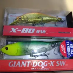 Item thumbnail for item c2d318f1-3bd6-4c2e-ac8e-4e4203de50ae