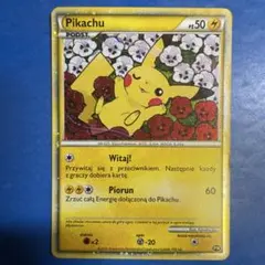 2026年最新】ポーランド ピカチュウの人気アイテム - メルカリ