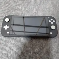 e*u様 Nintendo Switch Lite グレー 本体