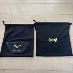 Item thumbnail for item 0b9aef7d-8fd3-4fd2-9c5e-eb4d907a6d40