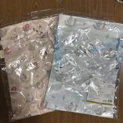 新品★ディズニープリンセス 巾着袋 2点セット