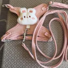 可愛いうさぎのハーネス　小型犬のサムネイル