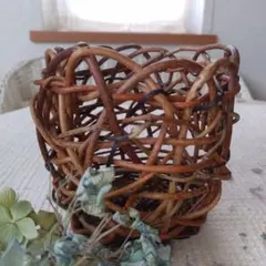 2026年最新】アケビ蔓の人気アイテム - メルカリ