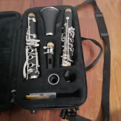 Item thumbnail for item 850eedb5-bf2f-4789-8c32-c3a40a105db8