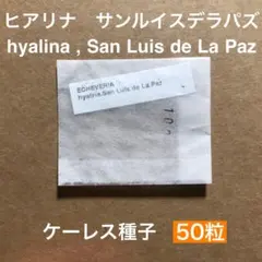 森のクマさん様 リクエスト 3点 まとめ商品