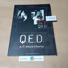 Acid Black Cherry ギターピック - メルカリ