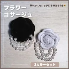 Item thumbnail for item cccbeb2d-8b87-41f1-bd60-0068a4e44347