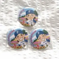 北海道日本ハムファイターズガチャ 缶バッジ 山本拓実 宮西尚生 - メルカリ