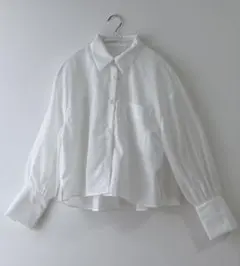 VISボリュームスリーブショート丈シアーシャツ