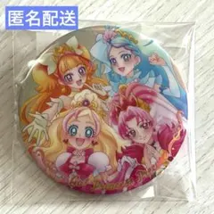 プリキュアオールスターズ缶バッジ　Go！プリンセスプリキュア