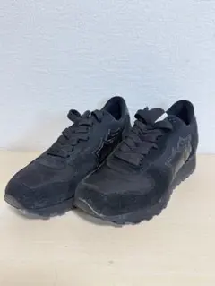 Item thumbnail for item 1b0c12a1-5f64-4c24-b382-dd92834c58e0