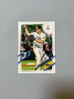 Item thumbnail for item 89750c71-7db2-4706-b671-729332637322