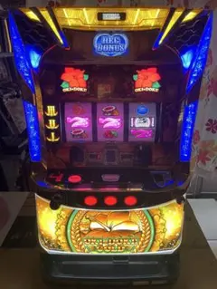 S／沖ドキ！GOLD／LS（沖ドキ！GOLD-30 沖ドキ！ゴールド-30