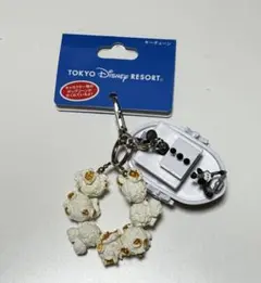 東京ディズニーリゾート ポップコーンキーホルダー新品　タグ付き