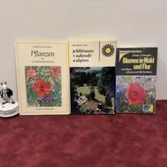 ❤️セール1118B②ジャンクジャーナル　洋書古書　3冊セット