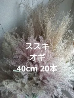 マユ様 リクエスト 2点 まとめ商品