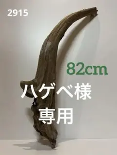 大型 流木【2915.2895.2857】 - メルカリ