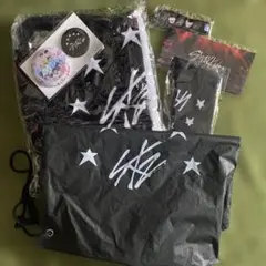 Stray Kids スキズ 5-STAR ドムツ ドームツアー アプグレ