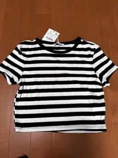 ZARA 白黒ストライプ 半袖Tシャツ L