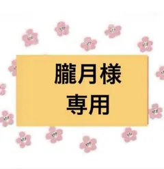 【朧月専用】Ｌ/1.5m