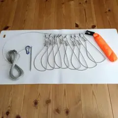 Item thumbnail for item 612780a2-7e0f-4d46-9ce4-e7004e83dfc3