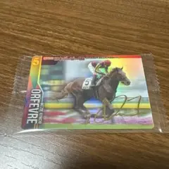 とりのすけ様 リクエスト 2点 まとめ商品