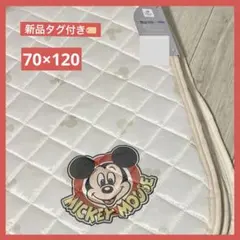 Item thumbnail for item e68a3b7e-9bbb-4590-bac6-f955bba50135